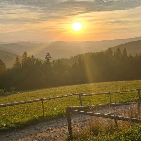 Dom Wypoczynkowy Beskidy Wegierska Gorka Exterior foto